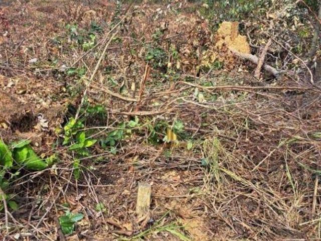 Terreno venda em Região Geográfica Imediata de Belo Horizonte, Região Metropolitana de Belo Horizonte