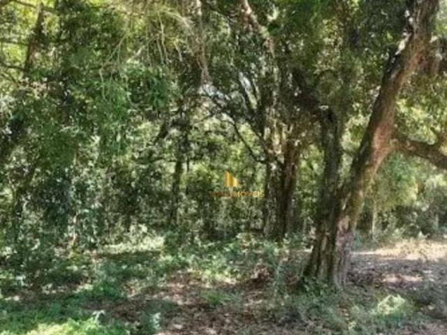 Terreno venda em Região Geográfica Imediata de Belo Horizonte, Região Metropolitana de Belo Horizonte