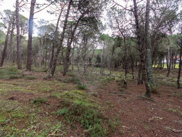 Terreno venda em Janas, Sintra