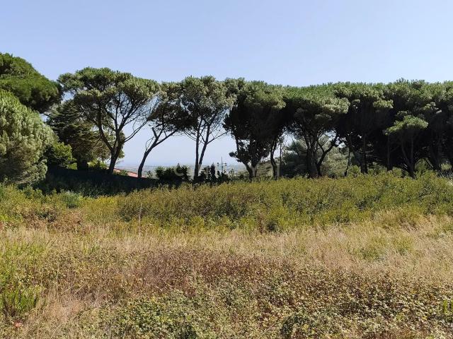 Terreno venda em Malveira da Serra, Cascais