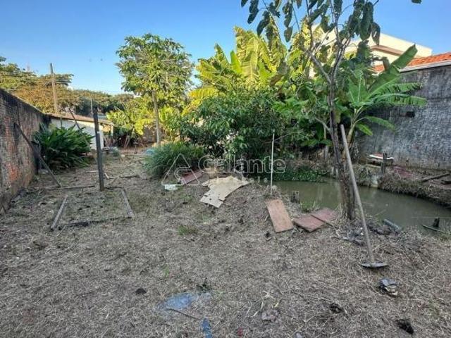 Terreno venda em Campinas
