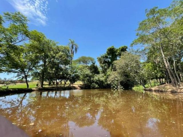 Terreno venda em Artur Nogueira