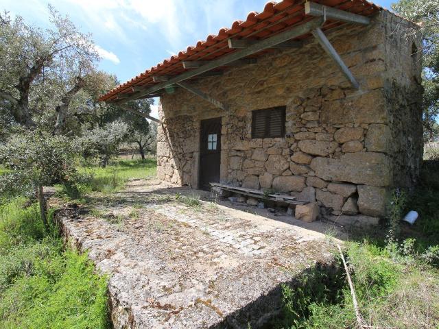 Terreno venda em Castelo Branco