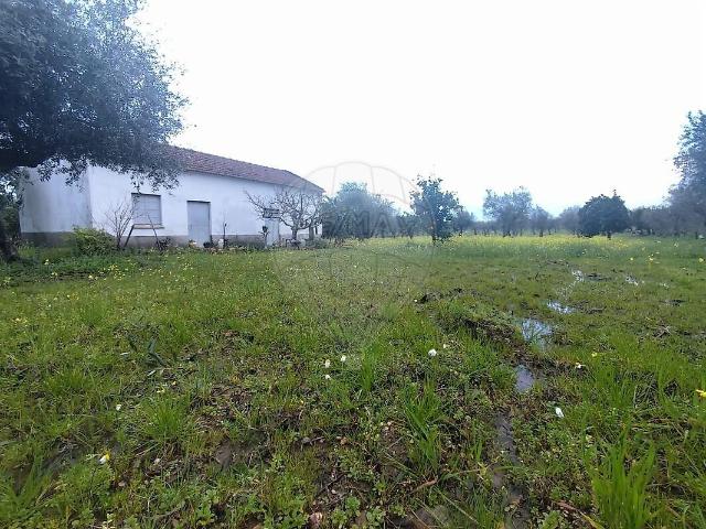 Terreno venda em Ladoeiro, Idanha-a-Nova