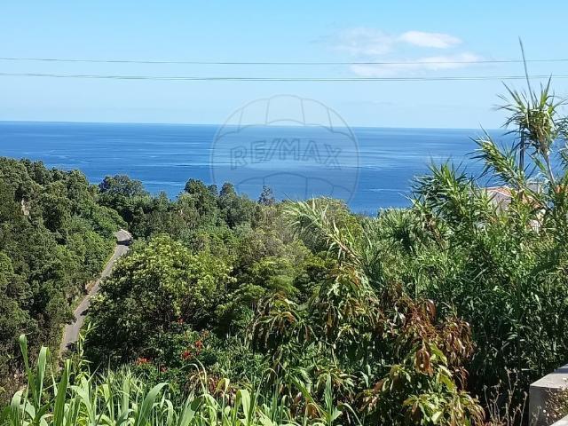 Terreno venda em Açores, Ribeira Chã