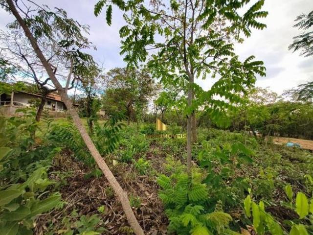 Terreno venda em Região Geográfica Imediata de Belo Horizonte, Região Metropolitana de Belo Horizonte