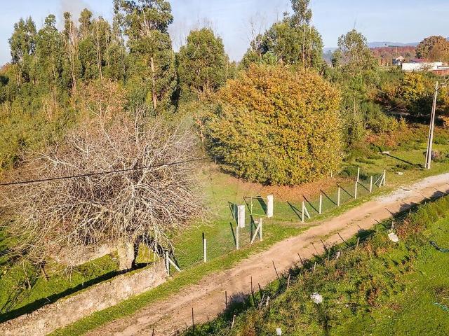 Terreno venda em Lagos da Beira, Lagos da Beira e Lajeosa