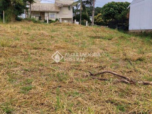 Terreno venda em Lajeado