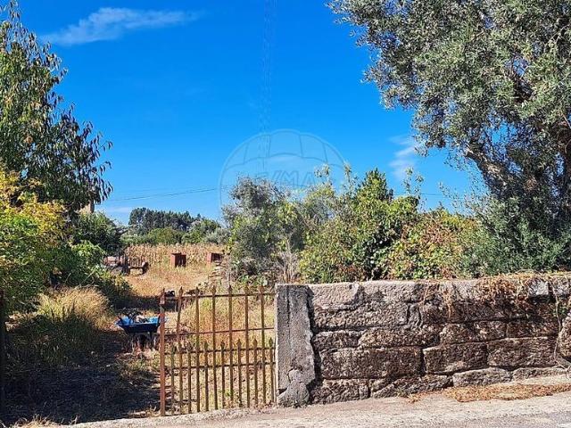Terreno venda em Lajeosa do Dão, Tondela