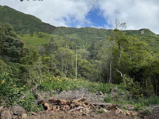 Terreno venda em Açores, Fajã Grande