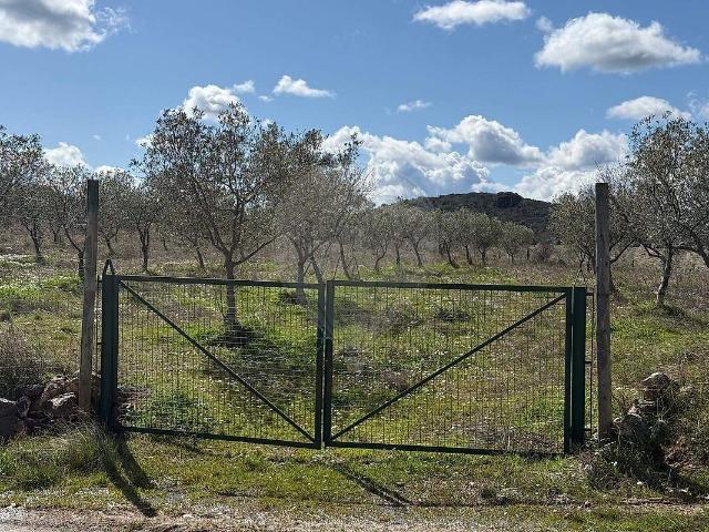 Terreno venda em Lamas de Orelhão, Mirandela