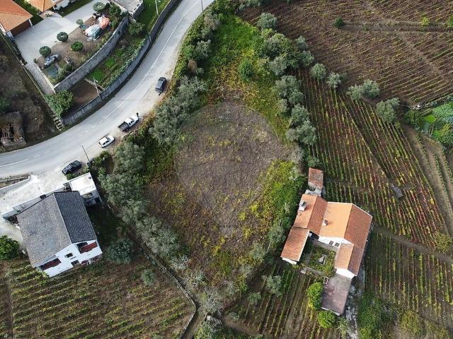 Terreno venda em Adega do Chão, Lamego