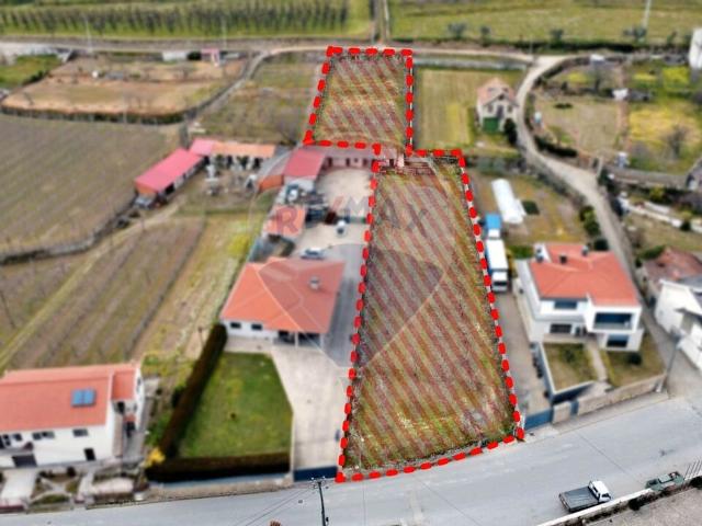 Terreno venda em Lamego, Viseu