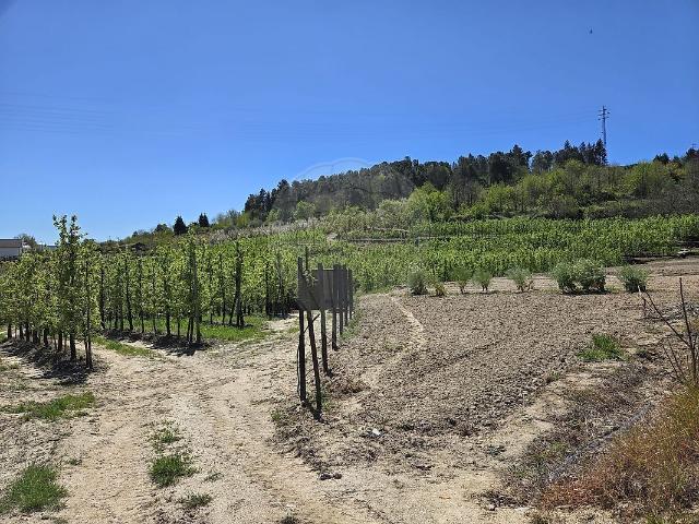 Terreno venda em Lamego, Viseu