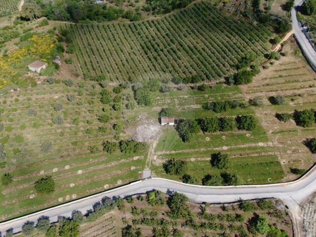Terreno venda em Lamego, Viseu