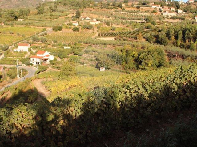 Terreno venda em Lamego, Viseu