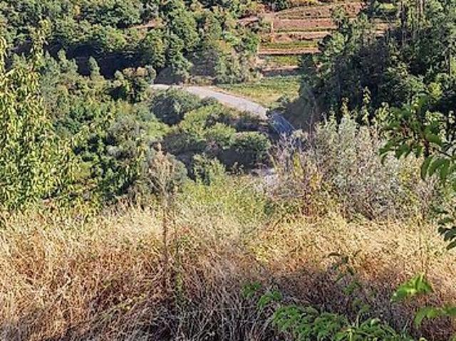 Terreno venda em Vai Claro, Lamego