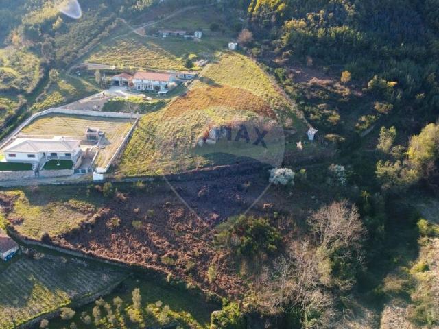 Terreno venda em Lamego, Viseu