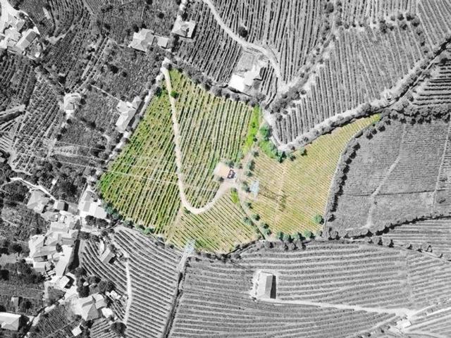Terreno venda em Quintião, Lamego
