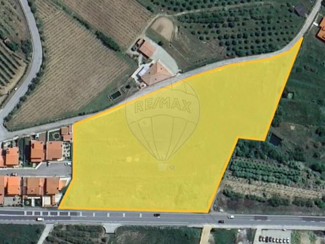 Terreno venda em Lamego, Viseu