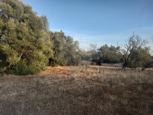 Terreno venda em Lagoão, Olhão