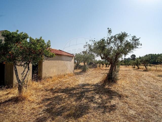 Terreno venda em Lardosa, Castelo Branco