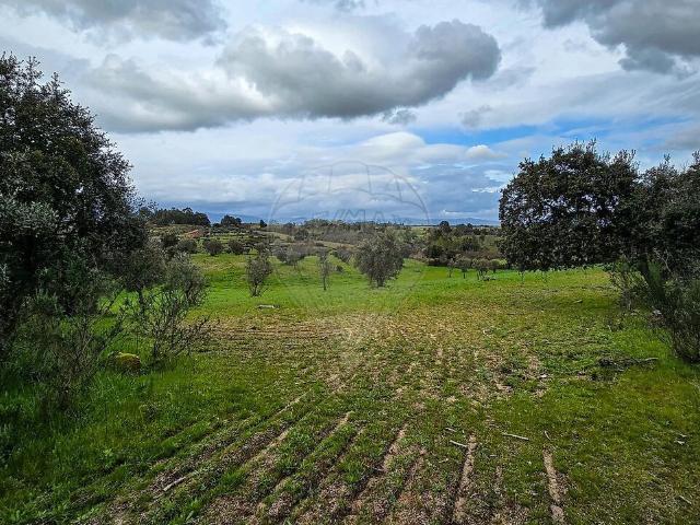Terreno venda em Lardosa, Castelo Branco