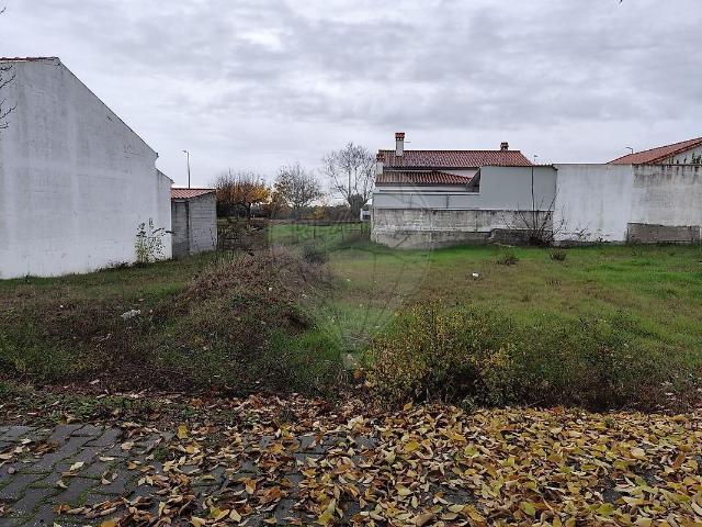 Terreno venda em Lardosa, Castelo Branco