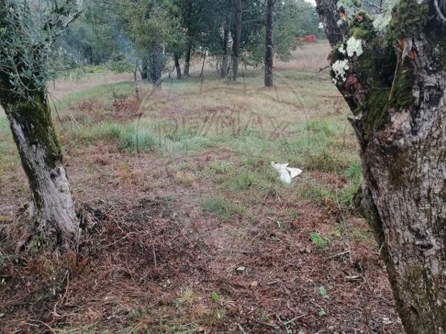 Terreno venda em Leiria