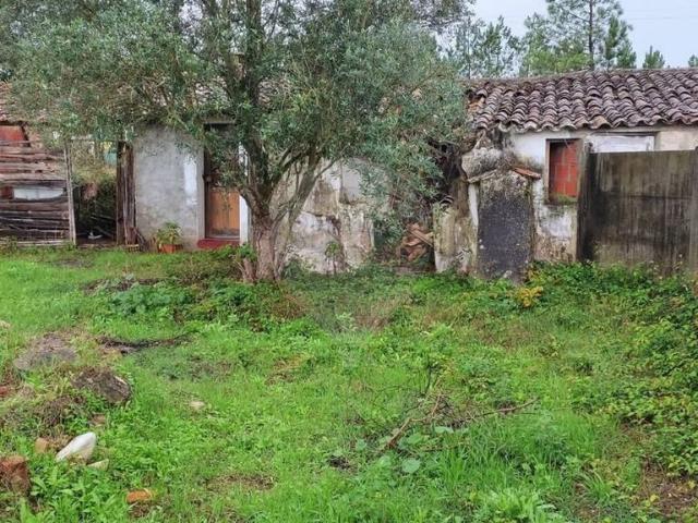 Terreno venda em Leiria
