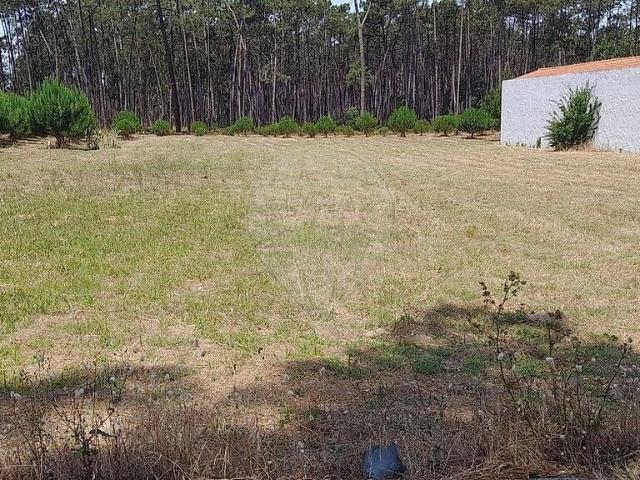 Terreno venda em Ribeira da Bajouca, Leiria