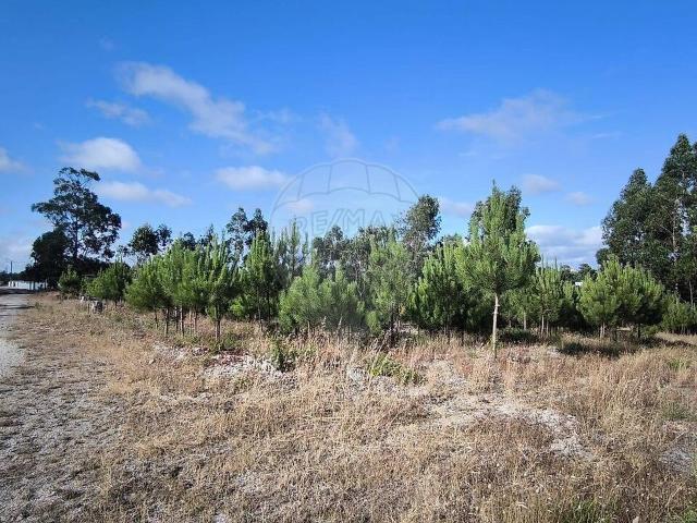 Terreno venda em Carvalheiros, Leiria