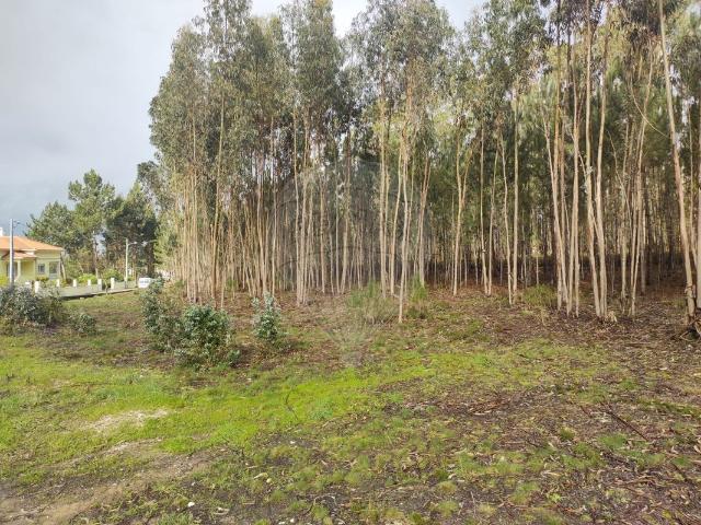 Terreno venda em Figueira do Outeiro, Leiria