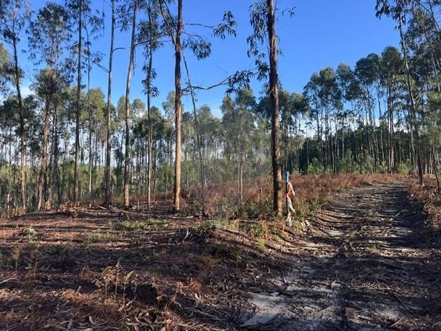 Terreno venda em Leiria, Pousos, Barreira e Cortes, Leiria