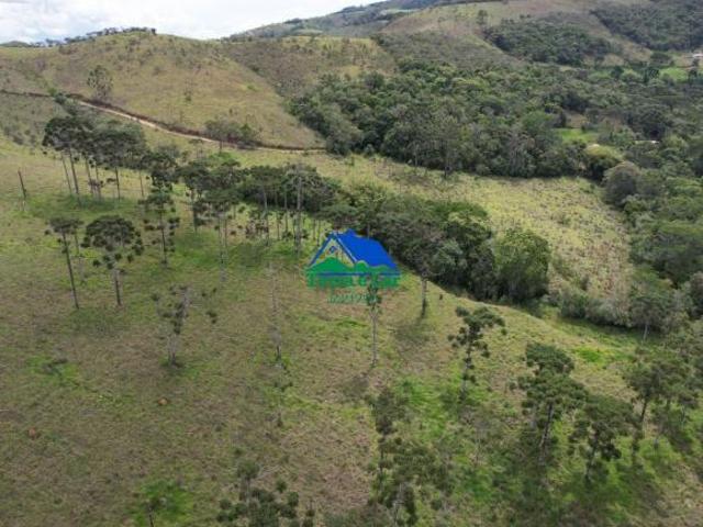 Terreno venda em Região Geográfica Imediata de Juiz de Fora, Liberdade