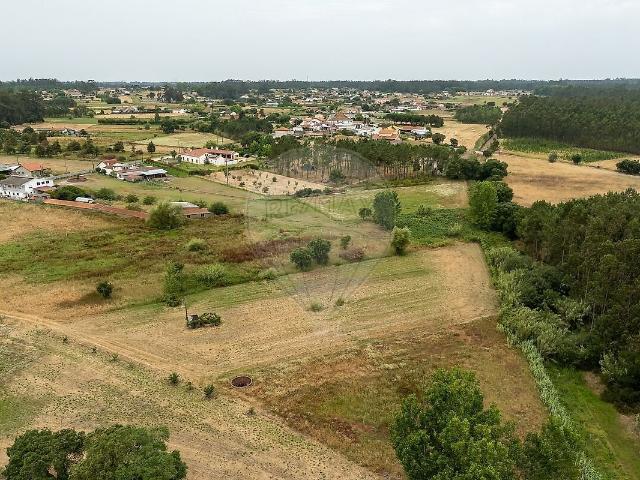Terreno venda em Liceia, Montemor-o-Velho