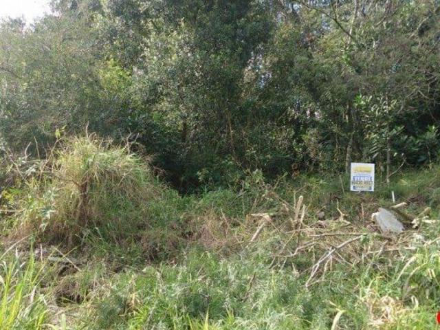 Terreno venda em Região Geográfica Imediata de Porto Alegre, Região Metropolitana de Porto Alegre