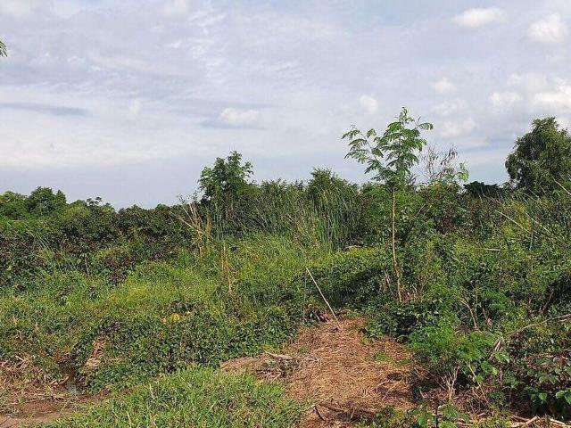 Terreno venda em Lordosa, Viseu
