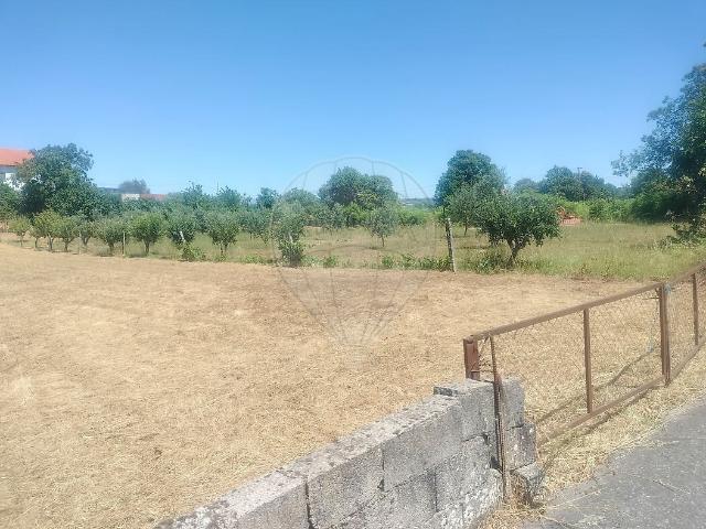 Terreno venda em Lordosa, Viseu