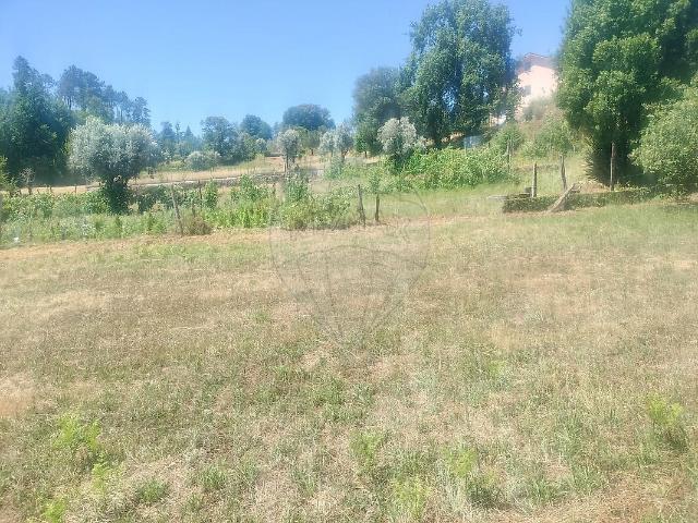 Terreno venda em Lordosa, Viseu
