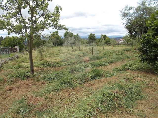 Terreno venda em Lordosa, Viseu