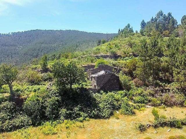 Terreno venda em Loriga, Seia