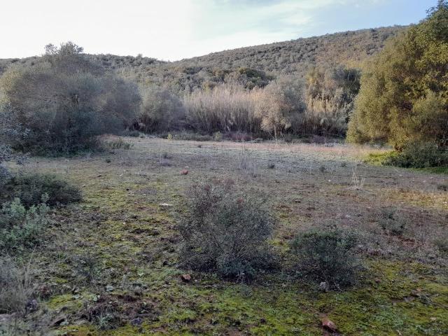 Terreno venda em Birrão, Loulé