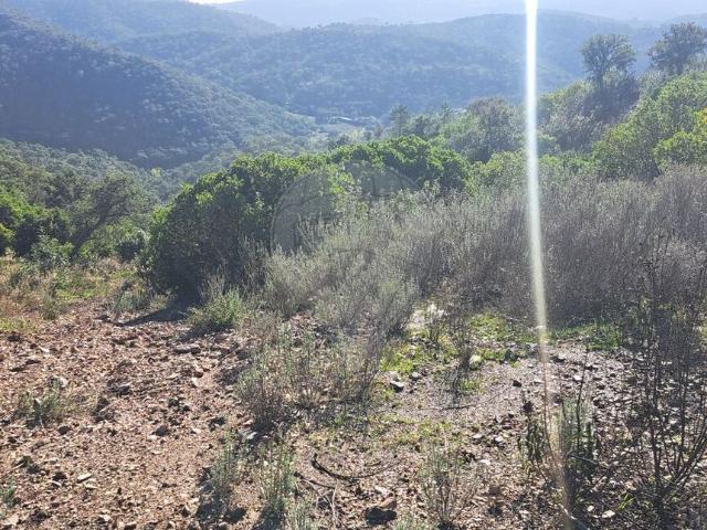 Terreno venda em Loulé, Faro