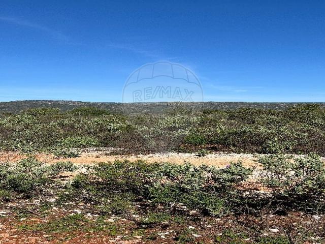 Terreno venda em Loulé, Faro