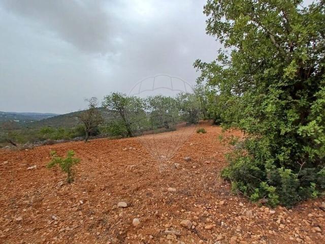 Terreno venda em Loulé, Faro