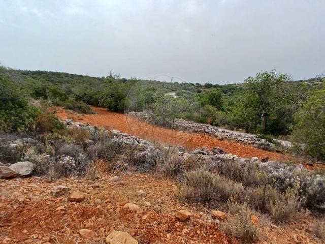 Terreno venda em Loulé, Faro