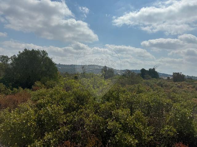 Terreno venda em Loulé, Faro
