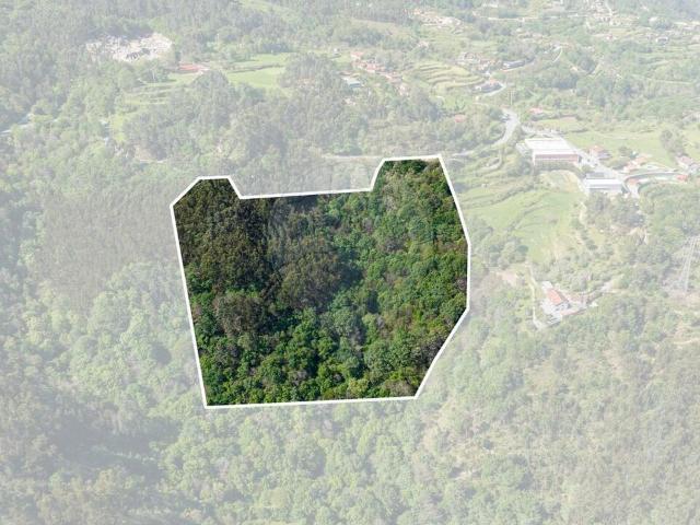 Terreno venda em Louredo, Vieira do Minho