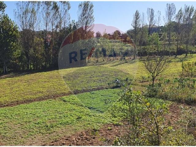 Terreno venda em Senhora do Alívio, Vila Verde